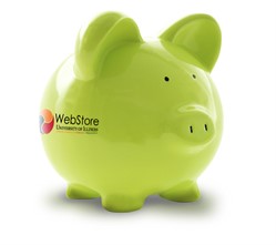 Sample Software Offer basic